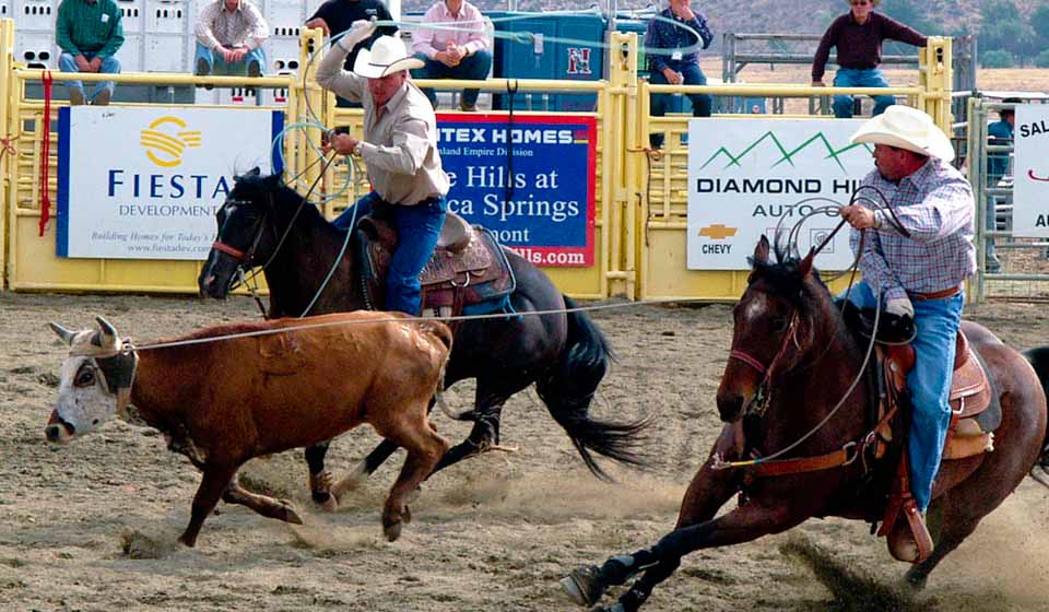 PRCA Pro Rodeo Steer roping